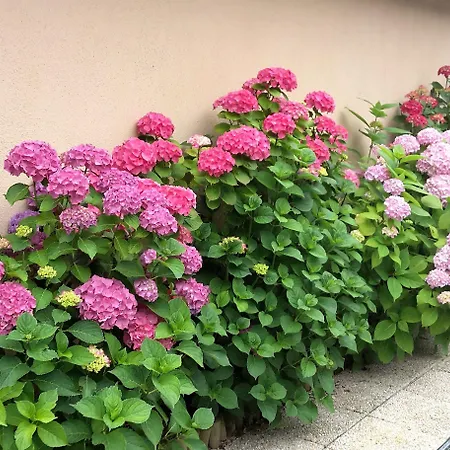 Du Cheval Blanc Hotel